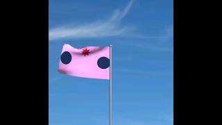 testing the flag on a pole