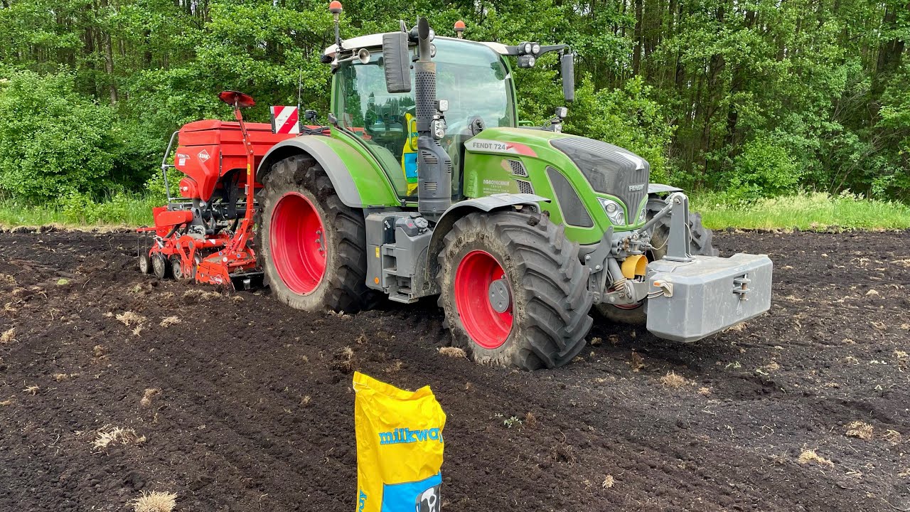 Siew trawy BG11 na torfie 🍀 [Vlog#17 2024]