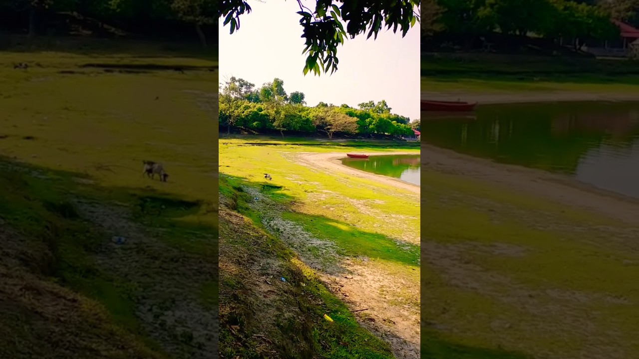Ramrai Dighi, Ranisankail || রামরাই দিঘী || #dighi #ytshorts || Thakurgaon Express ||