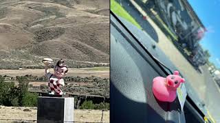 Yellowstone trip, June 2021