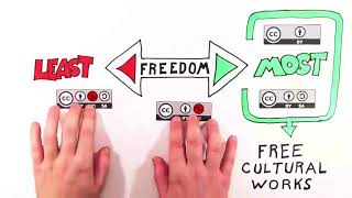 Creative Commons Kiwi