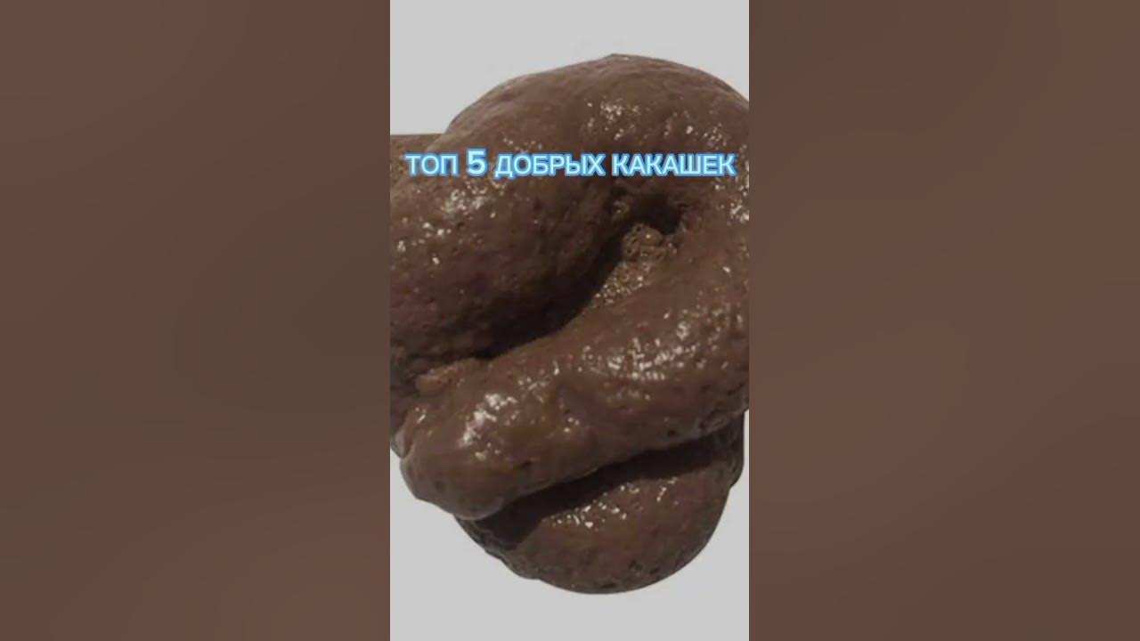 какашечка - YouTube