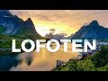 Lofoten Islands - Sailing across the Arctic Circle