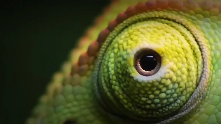 wenglor sensoric - Machine Vision Camera+Controller+uniVision - Teaser