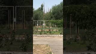 Шикарный газончик