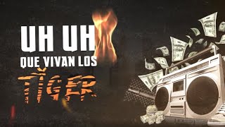 Que Vivan Los Tigre Remix - Tali ❌Noriel ❌De La Ghetto❌Almigthy (Preview)