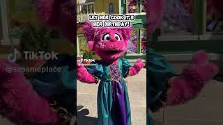 Sesame Place Happy Birthday Abby