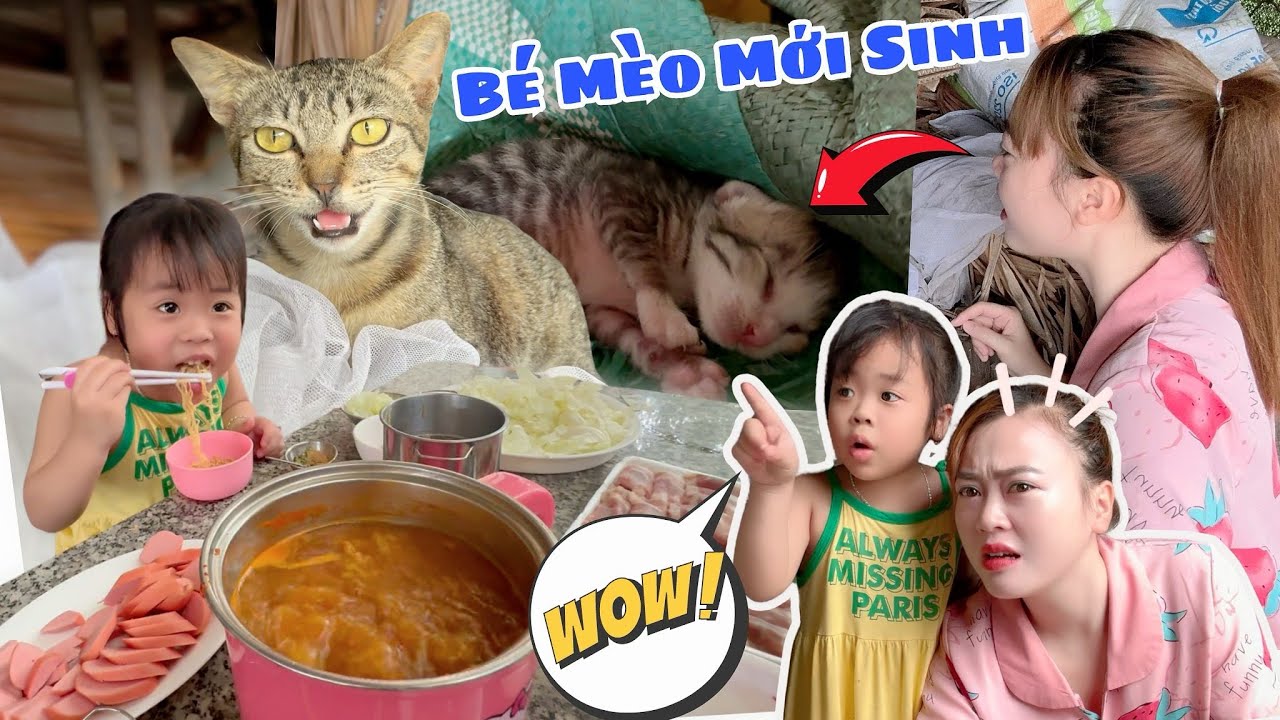 Mẹ Hà Hà Hí Và Em Mint Vy Làm Tiệc Lẩu Mini Chào Đón Bé Mèo Con Ra Đời