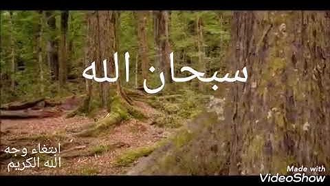 إذا رجت الأرض رجا،وبست الجبال بسا، سورة الواقعة بصوت الشيخ ماهر المعيقلي ✨