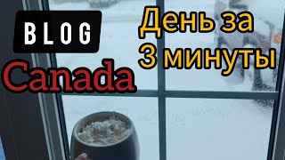 Канадские деньки 🍁 Сент-Джонс. Atlantic