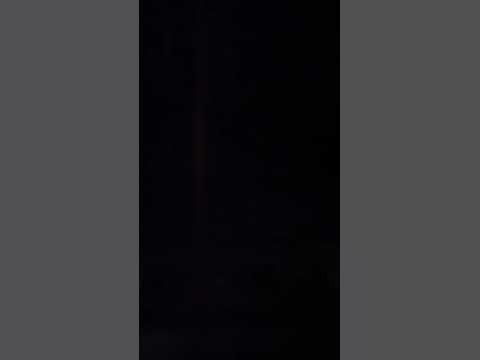 Coyotes Howling at Night, Socializing Sounds and Coyote Noise - YouTube