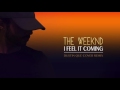 The Weeknd - I Feel It Coming (Dustin Que Cover Remix)