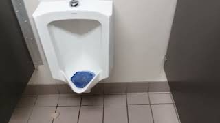 Walgreens Men's Restroom with AS/Kohler Fixtures