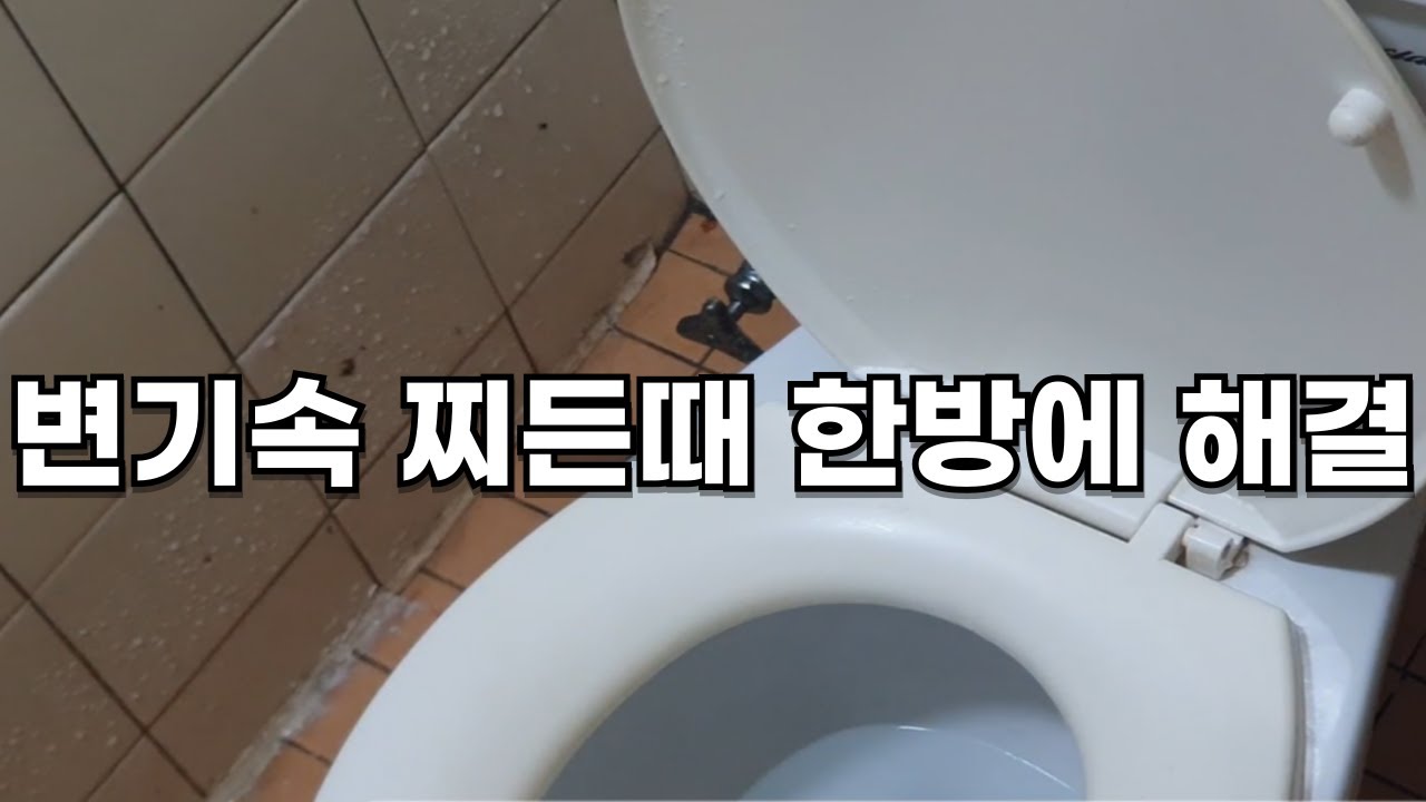 청소 업체에서 알리지 말라던 변기때 완벽제거 방법