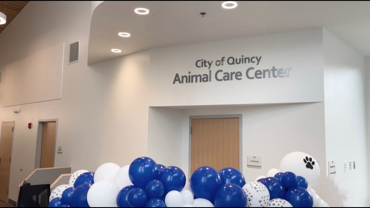 The City of Quincy Animal Care Center YouTube