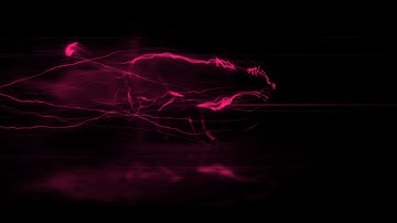 Run panther intro template pink color | No copyright | Run panther intro