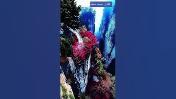 ومن آيآته أن خلقكم من تراب  القارئ يوسف محمد #راحة_نفسية #اكسبلور #قران_كريم  سوره الروم