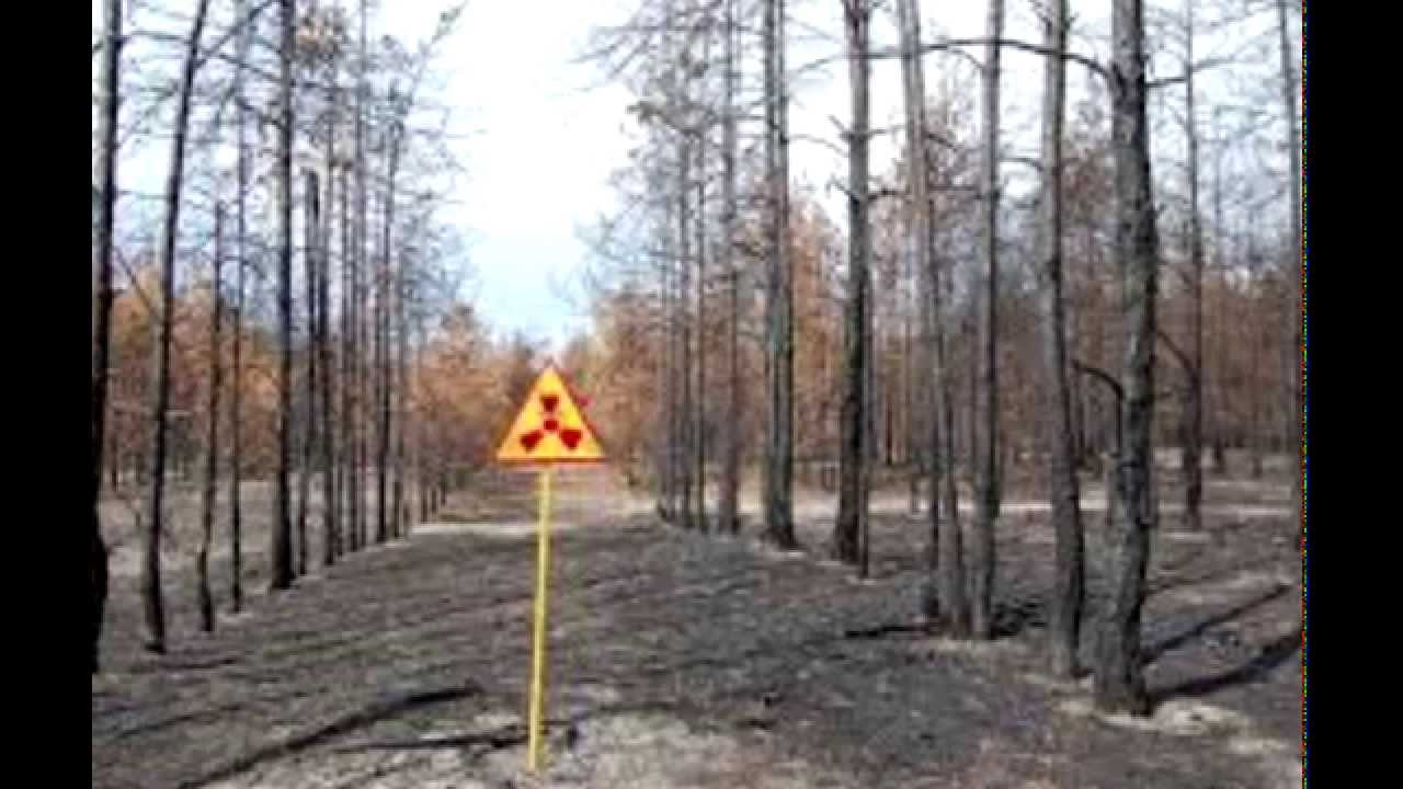 gente chismosa Chernobyl imagenes de la ciudad abandonada...