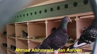 Jan Aarden % 100