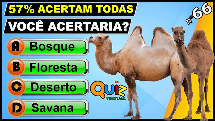 55 perguntas de conhecimentos gerais fáceis com RESPOSTAS