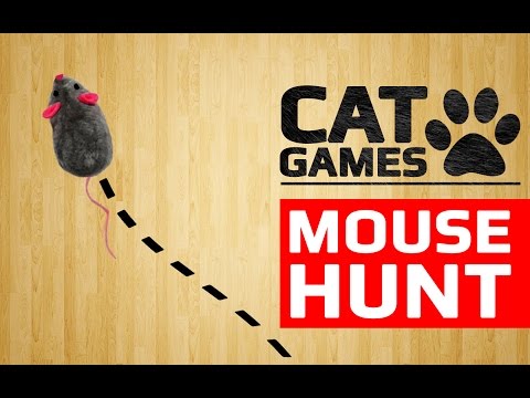 cat-games---🐭-mouse-hunt-(entertainment-videos-for-cats-to-watch)