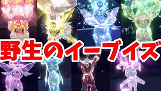 【ポケモンSV】特別なイーブイズの居場所！テラスタル個体を確実にゲットできる！【ポケモンスカーレットバイオレット】