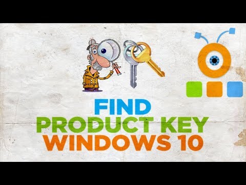 How to Find