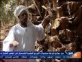 برنامج بالبلدي قناة النيل الأزرق الثلاثاء20 12 2016
