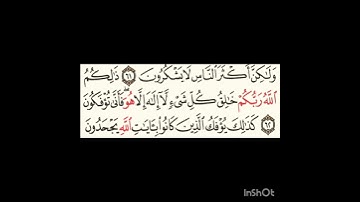 سورة غافر ٦٢الى٦٣#سورةالنازعات #سورةالمرسلات #سورةالماعون #سورةالقيامة #سورةالتغابن #سورةالحديد