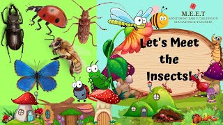 Let's Learn About Insects! Insect 4 kids Kindergarten educational videos insects and creepy crawlies by Chrysaellect India 3,386 views 1 year ago 4 minutes, 38 seconds