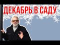 Садовые работы в ДЕКАБРЕ / Итоги сезона / Игорь Билевич