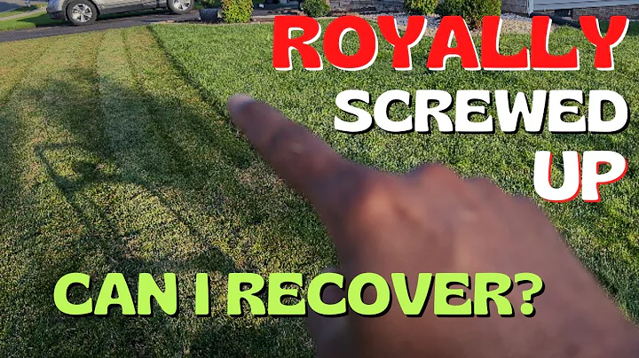 Dethatcher MISTAKE | Avoid Doing This When Dethatching