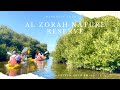 Kayak Mangrove Tour!! Discover Dubai&#39;s Hidden Natural Gem in a Serene Adventure | 4K | Al Zorah