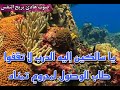 ابتهال يا سالكين اليه الدرب لا تقفوا طاب الوصول لمحروم تمناه صوت جميل يريح القلب 