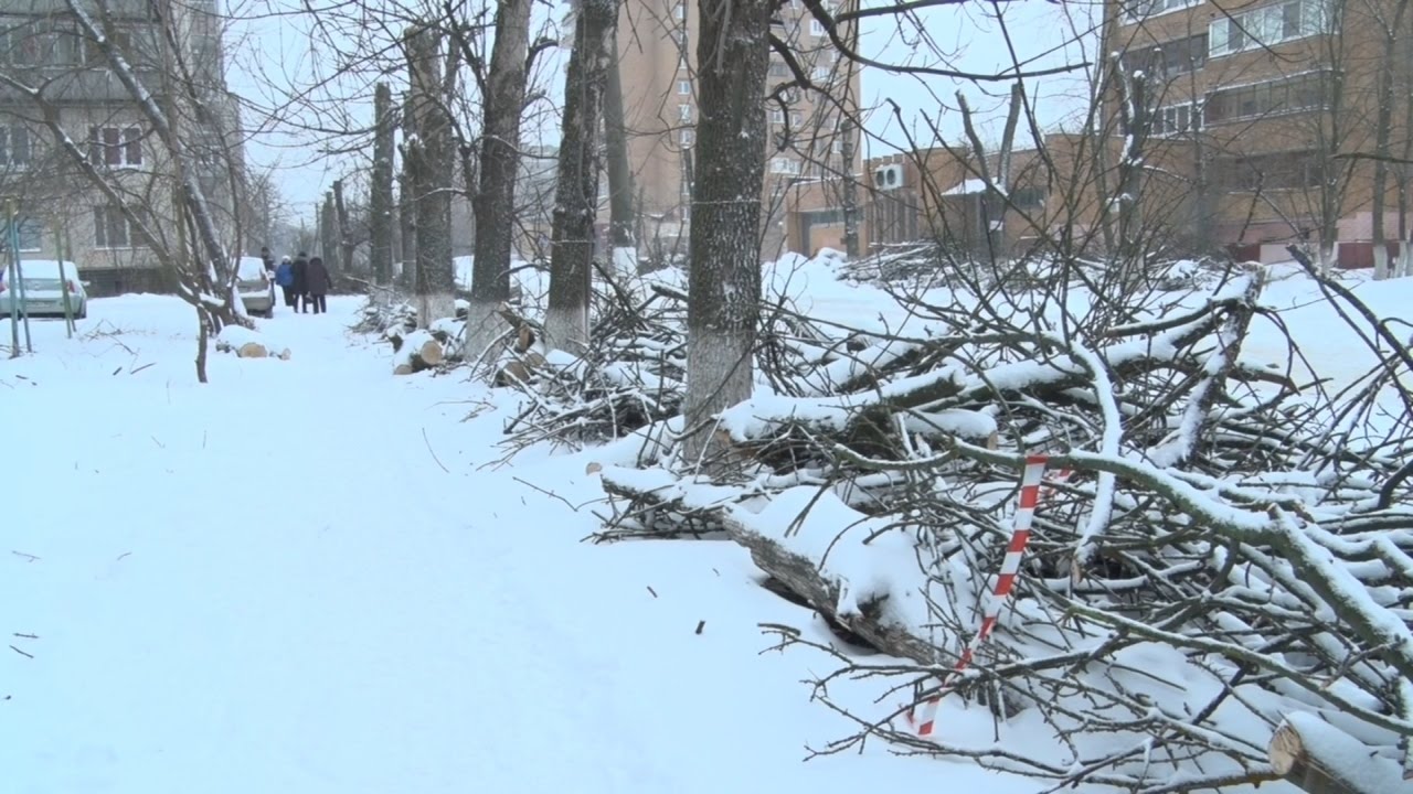 Спилить деревья - дело не хитрое - YouTube