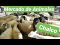 Mercado De Animales De Chalco 1er Visita