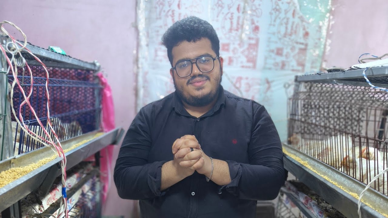دراسة جدوي مشروع 5000 فرخ تسمين مع بشمهندس علي عبدالرحمن 🐥♥️