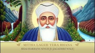 Your feelings seem sweet - Bhai Harbans Singh Ji (Jagadhri Wale)