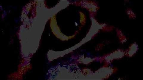 Shameless Steem Promotion