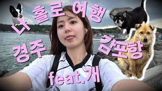 [더빙] 5kg 강아지로 무게치면서 감포항 여행하는 프로유튜바 이라림 (feat.개)