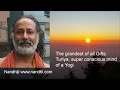 Access SuperConsciousness Mind of the Yogi