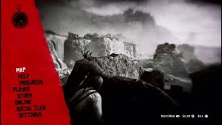 I should have died falling in rdr2 from this height