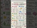 6 Happy Hormones #bscnursing #gnm #motivation #trendingshort #nursestudy #stayhappyandhealthy #viral