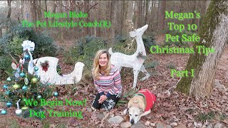 Christmas Holiday Safety Tips for Dogs by Megan Blake, The Pet Lifestyle Coach(R), We Begin Now!