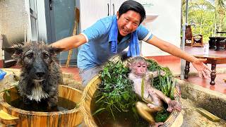 Taking Jobi & Hope to the Forest to Relax | Natural Care & Love