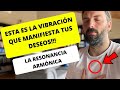 Crea esta VIBRACIÓN con tu MENTE y MANIFESTARÁS CUALQUIER DESEO!!!