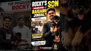 Rocky’s Son Handed Over to Raigarh Jindal | Happy Client Feedback ❤️🐾 #rottweiler #happyclient