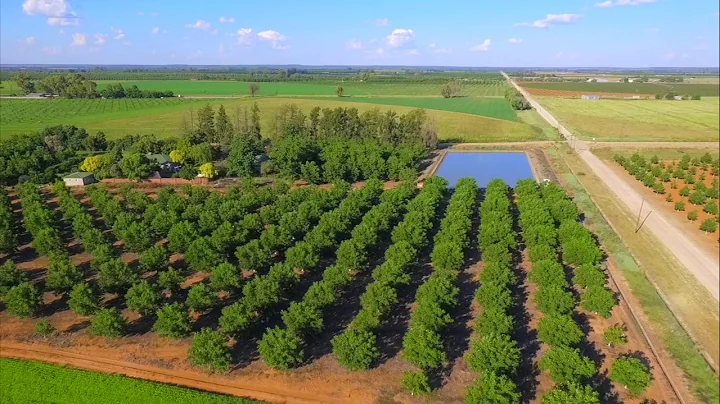 Jan Kemp 62,5ha all water rights 15 ha pecan nuts ...
