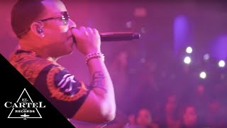 Daddy Yankee - Florida (2013) [Live]