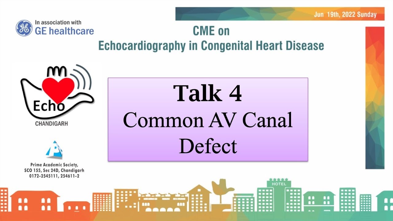Talk 4 - Common AV Canal Defect - YouTube